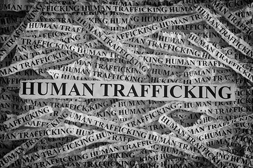 NATSO Foundation releases toolkit on how to combat human trafficking