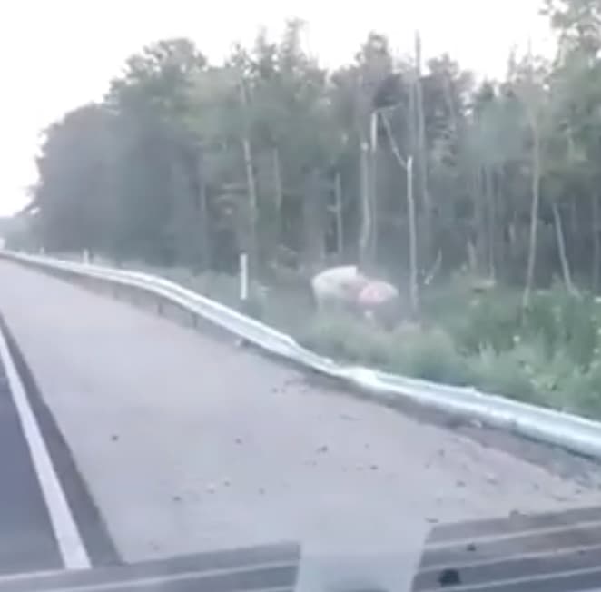 Tanker takes to the trees!