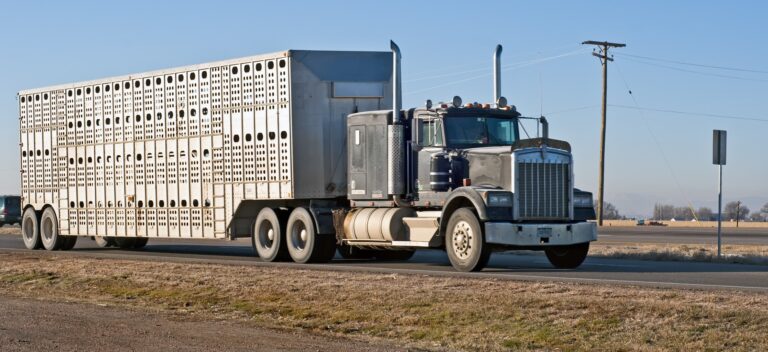 FMCSA seeks comments on definitions of agri, livestock commodities in HOS rules