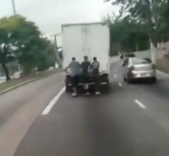 Stupid is the same word no matter what language