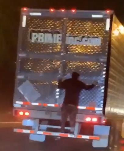 Bumper rider keeps Portland weird!