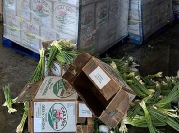 U.S. Customs agents discover $1.4 million in meth hidden in truckload of green onions
