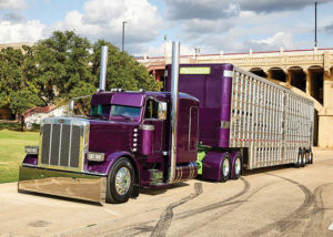 bright purple truck