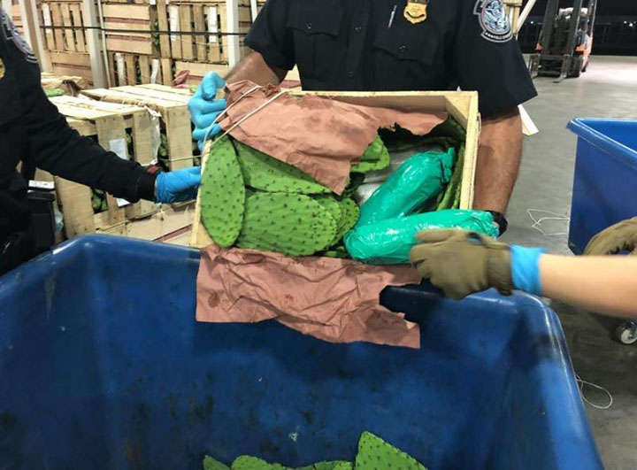 Drugs valued at nearly $65 million hidden in commercial shipments of cactus and limes