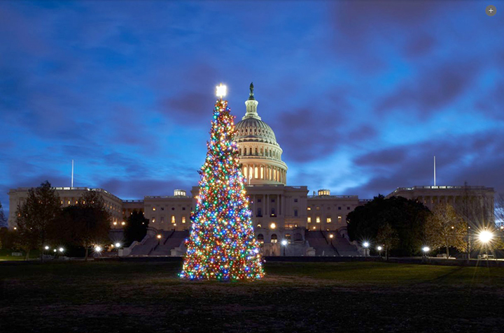 Apex Transportation to transport 2020 U.S. Capitol Christmas Tree from Colorado to D.C. using Kenworth T680