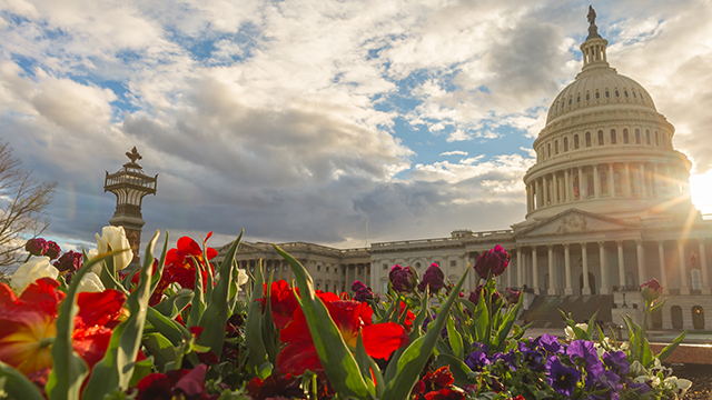 Capitol recap: A review of important news out of the nation’s capital | September-October