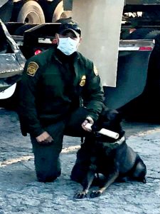 CBP Canine Oct 2