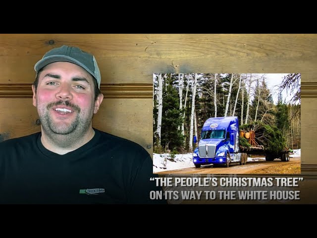 The Trucker News Channel — Capitol Christmas Tree