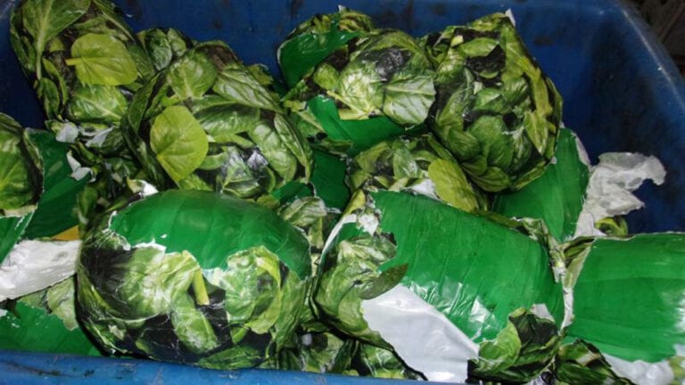 Border patrol discovers over $1.3 million in narcotics hidden in truckload of spinach