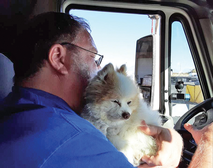 Diva Dog: Married duo hit the road with mini Pomeranian