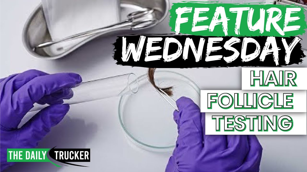 The Daily Trucker Hair Follicle Testing with Dr. Dixon