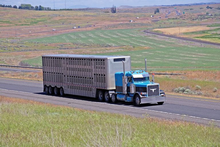 Ag haulers facing ‘perfect storm’: Trucking companies, ag producers struggle with capacity issues