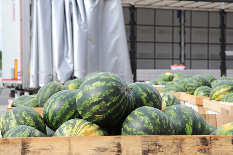 Border agents find cocaine hidden in truckload of watermelons, peppers