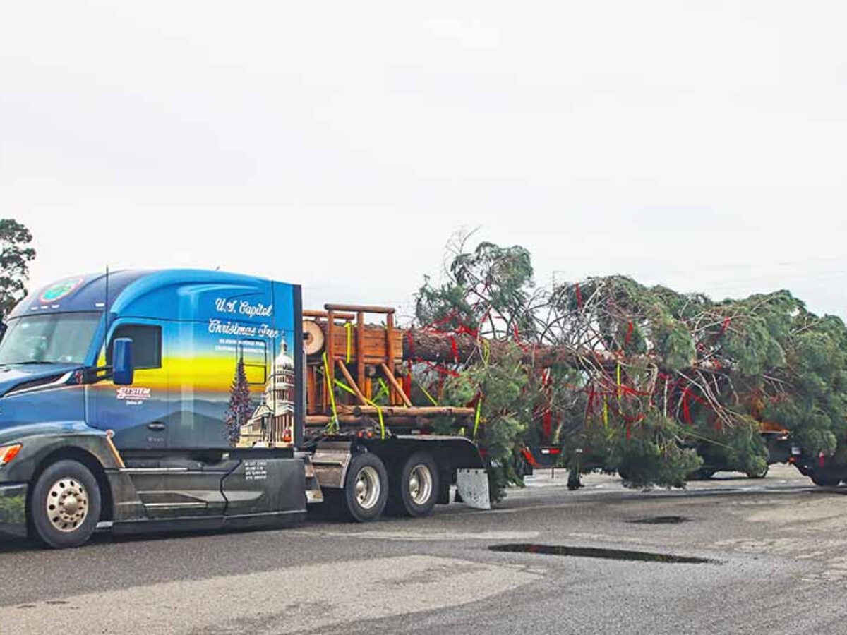 Transport Of U S Capitol Christmas Tree Has Begun Thetrucker Com