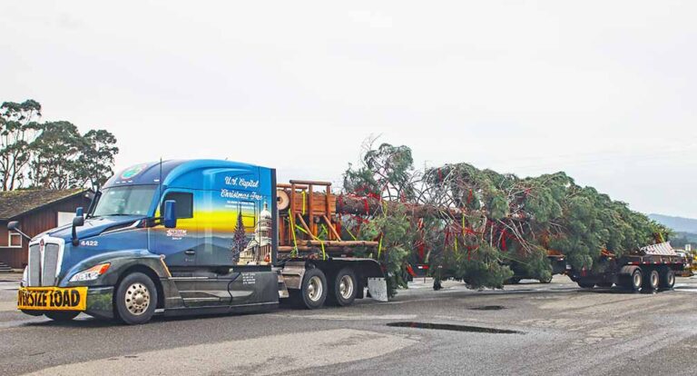 Transport of U.S. Capitol Christmas Tree has begun