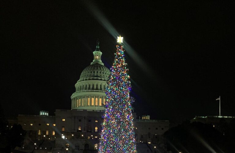 National tree lit in D.C. after haul from California