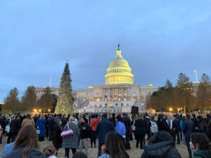 Capitol Christmas Tree Main