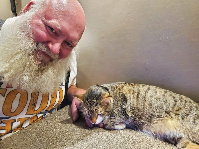 Santa’s little helper: ‘Vincent the Trucking Cat’ is a natural on the road