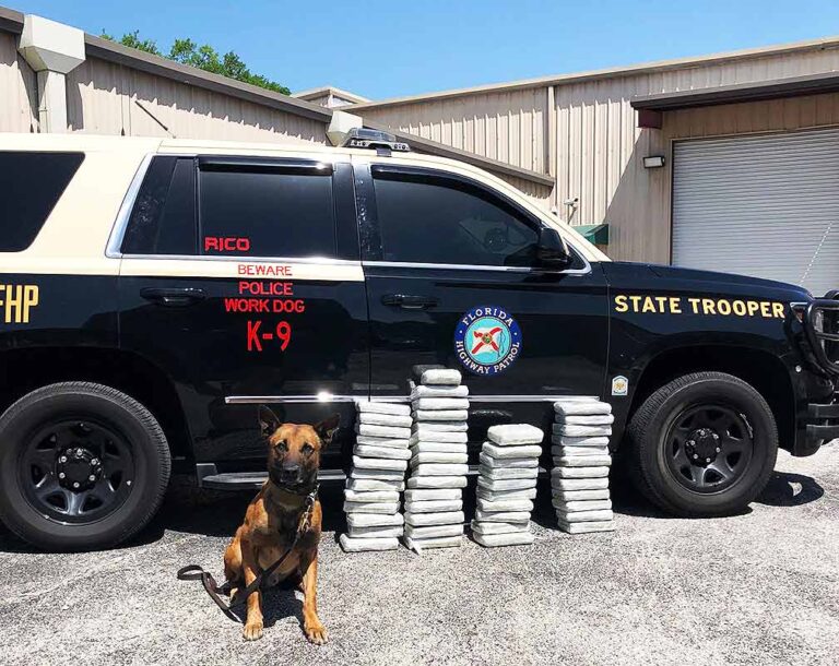 Law enforcement finds $5 million worth of cocaine in Florida tractor-trailer