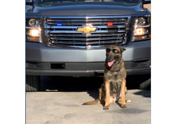Vegas police bust big rig driver after K9 finds cocaine in tomato shipment