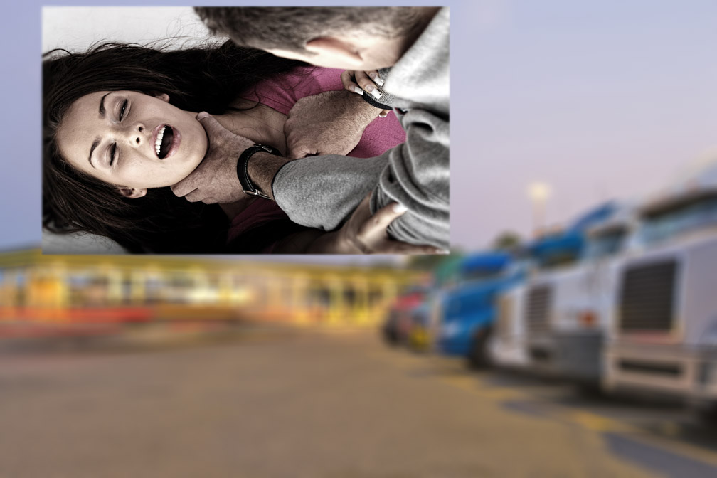 Federal government raising awareness about violence against female truck drivers - Vimarsana News