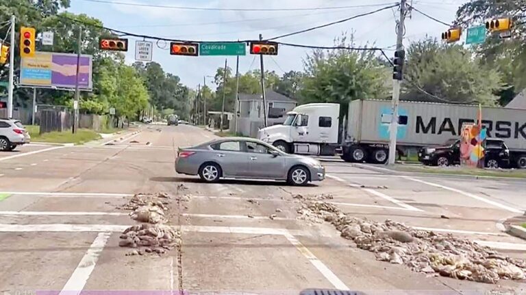 Cow guts litter Houston intersection; rig that dumped them nowhere to be found