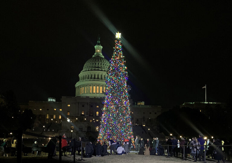 NC-based Hardy Brothers Trucking chosen to haul this year’s US Capitol Christmas Tree