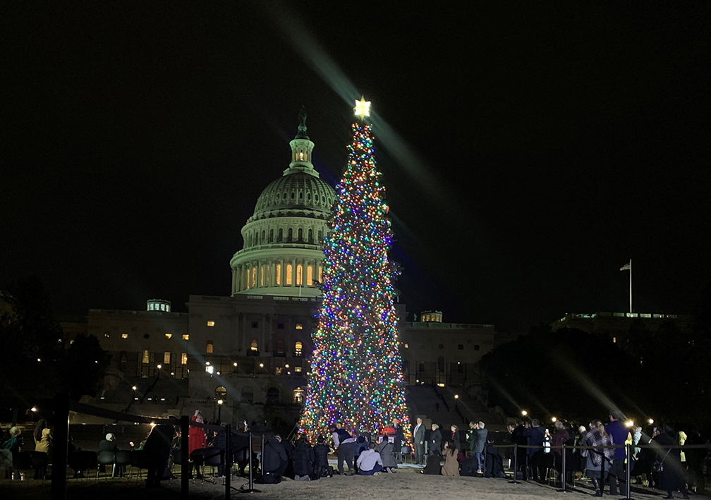 2021 Capitol Christmas Tree