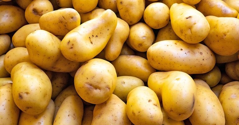 Tractor-trailer spills potatoes, onions, causing highway to shutdown for several hours