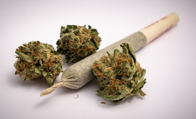 ATRI launches survey to understand impacts of marijuana legalization