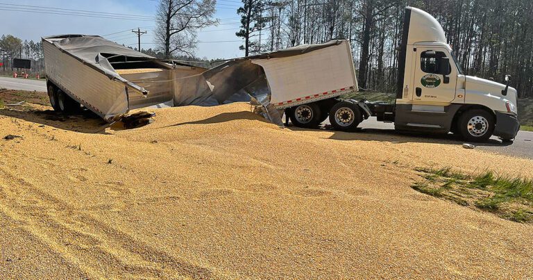 Tractor-trailer bursts, spills grain across Georgia highway