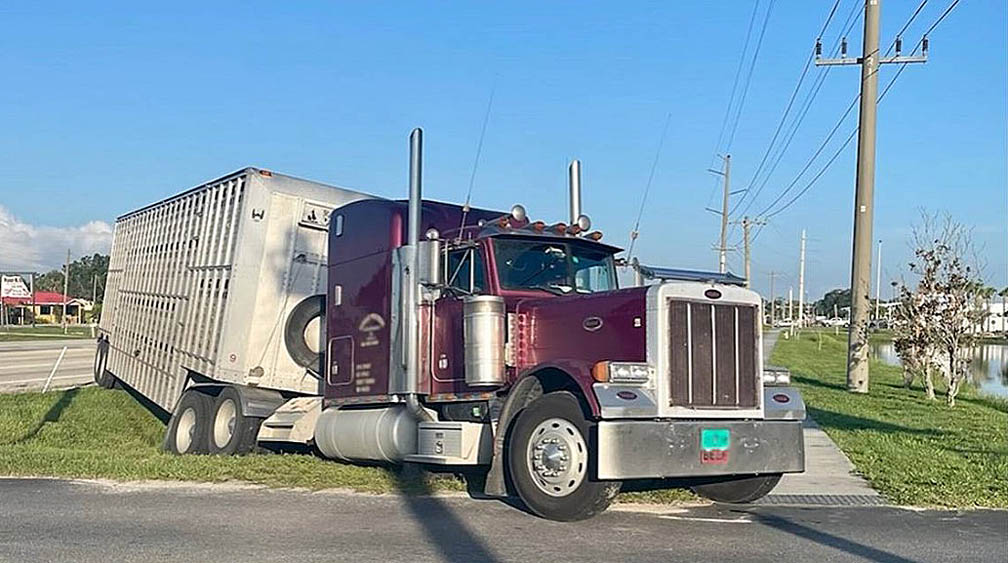 Deputy jumps onto moving big rig to save distressed driver in Arcadia, Florida