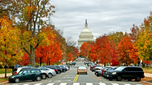 United States Capitol and Upper Senate Park. Washington, DC. Autumn