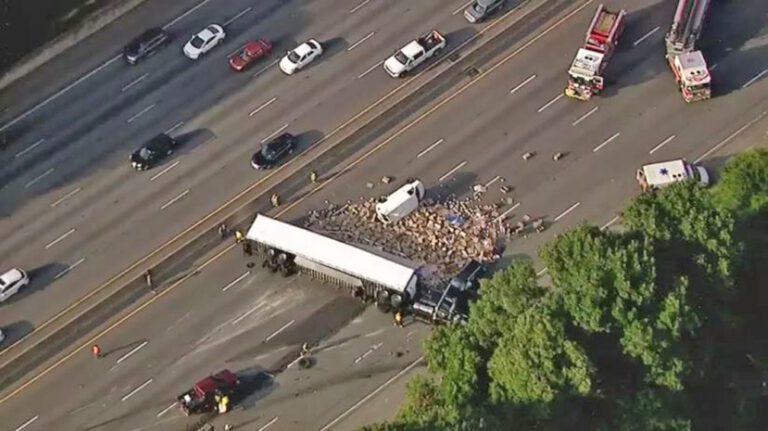 Big rig spills chicken, clucks up Atlanta area traffic