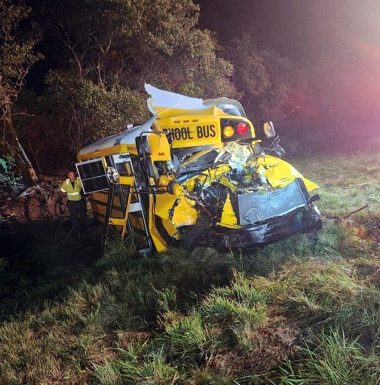 Bus vs semi: Truck driver in custody after leaving scene of accident in Indiana