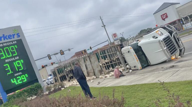 Chicken-hauler overturns on Claxton, Georgia, street