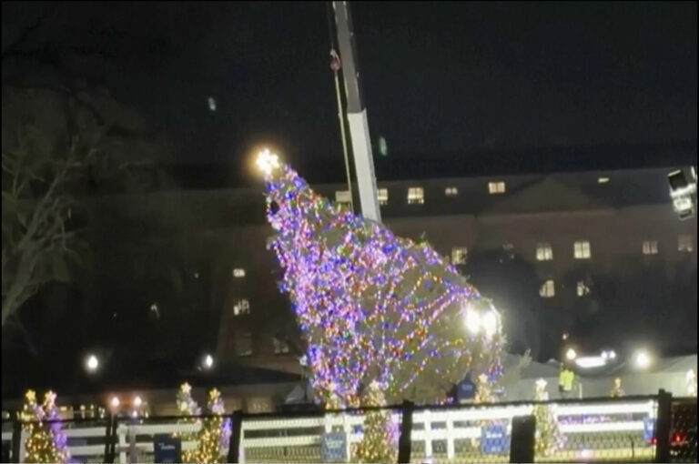 Heavy winds knock over Christmas tree in front of White House