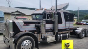 Charles Shedden Cover Pic