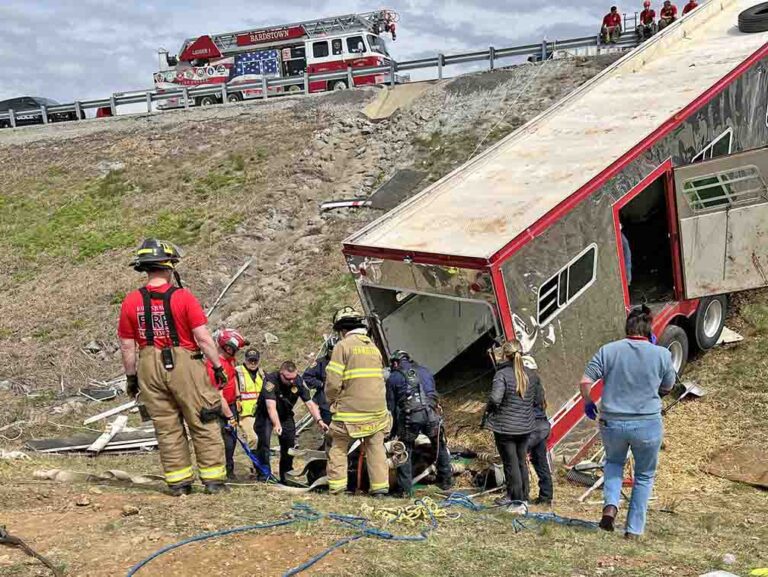 3 thoroughbred horses killed in 18-wheeler crash