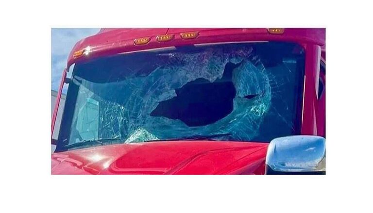 Turkey tangles with big rig in Missouri, loses