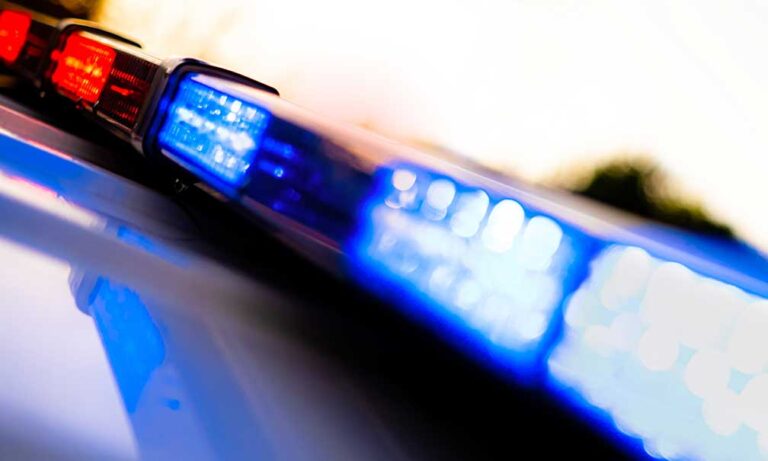 Wrong-way driver fleeing police on Los Angeles freeway crashes, climbs onto hood of semi