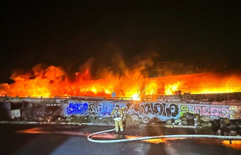 Lax oversight by Caltrans put LA’s I-10 at risk before 2023 blaze, audit finds