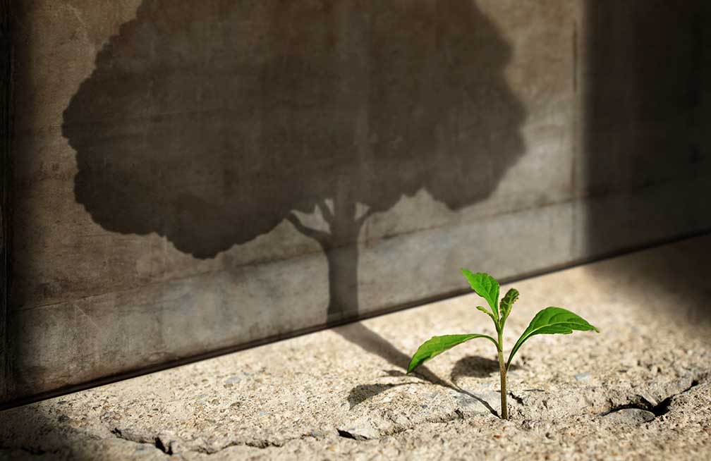 Success Concept iStock 1345771202 web