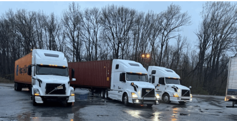 Import volumes drive Toppoint Holdings Q1 revenue growth