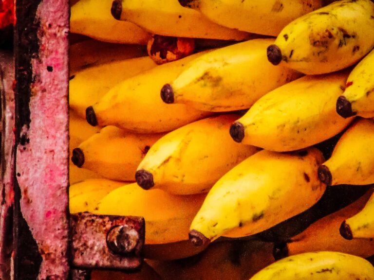 Semi carrying bananas overturns in Ohio