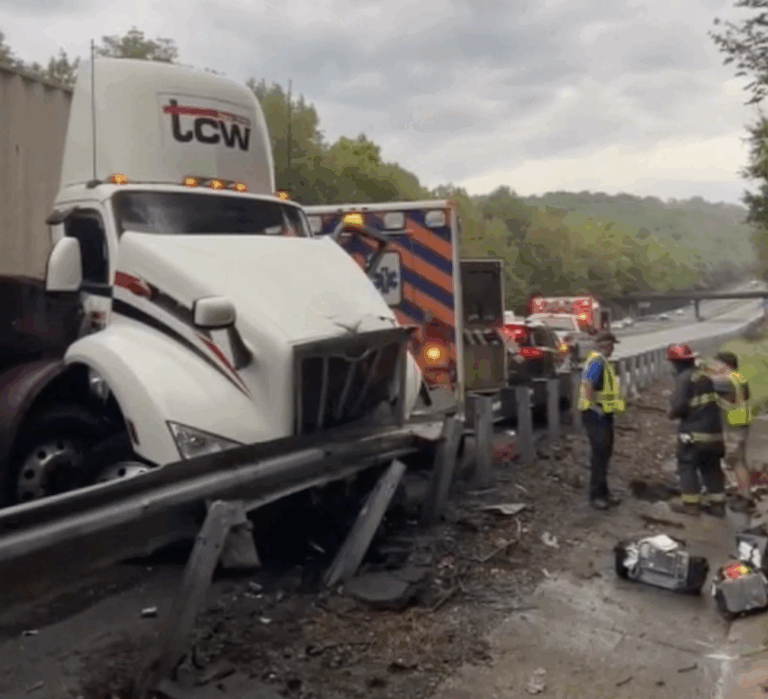 Cattle euthanized following semi crash in North Carolina