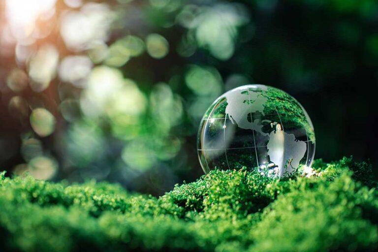 Bring on the biofuels: RINs can help carriers plot course to reduced emissions