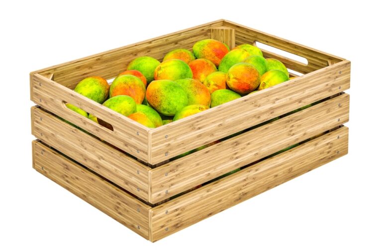 CBP finds meth in big rig mango shipment