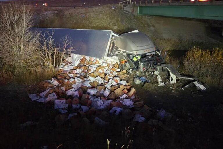 Trucker charged with DUI, passenger injured, cat unhurt