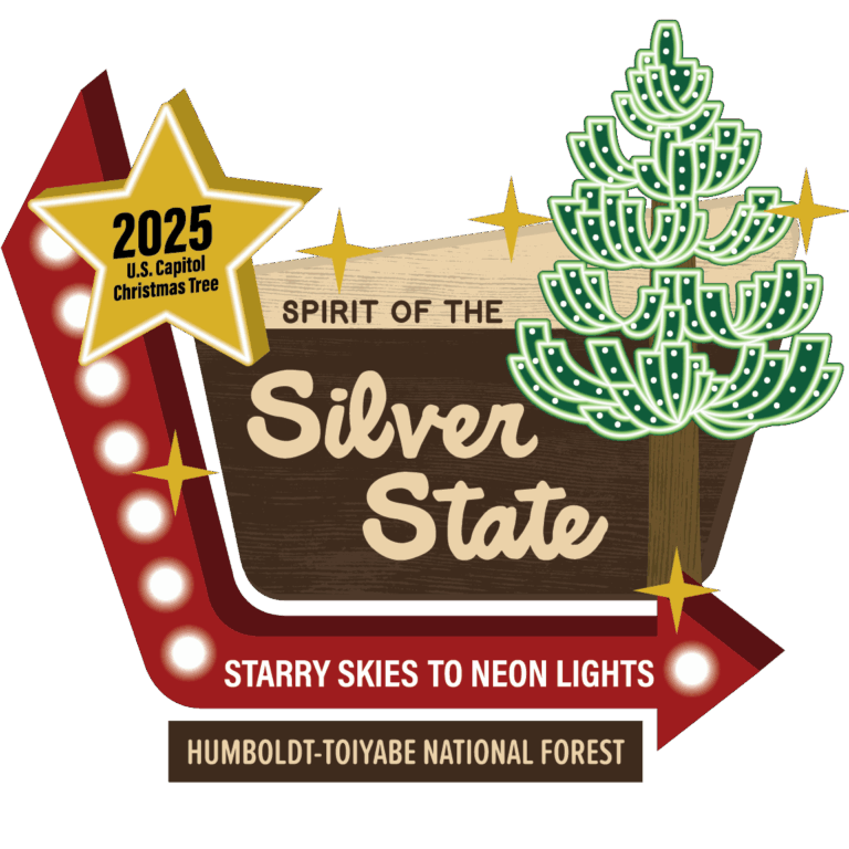 Bringing joy for all to see: JJ Keller helps transport Silver Belle, the 2025 U.S. Capitol Christmas tree